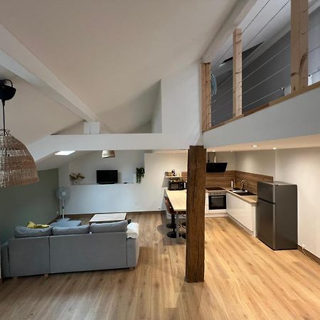 Le Confortable Sarrebourg Wifi Parking 4 Personnes Proche Gare Ngoại thất bức ảnh